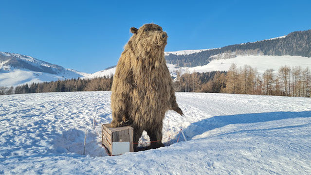 Terrazza delle Stelle