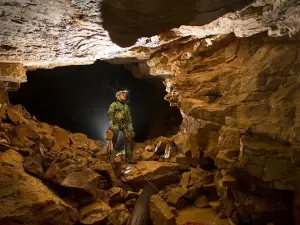 შურუბუმუ / Shurubumu