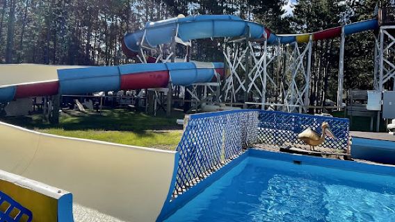 Hayward KOA Holiday