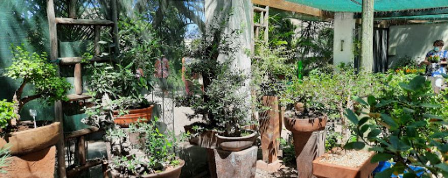 Robertson Garden World
