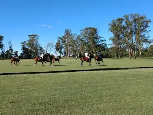 Polo Club Chapaleufú