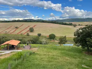 Sítio pé na jaca