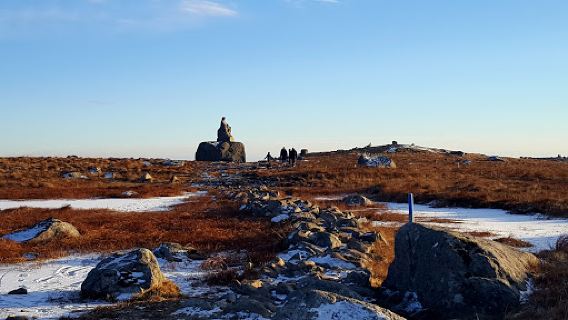 Mor Norge (Steinkjerringa)