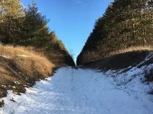 Greenbush Recreation Area