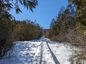 Bannockburn Trail