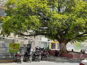Rua Grande