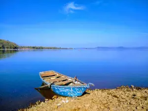 Payli bargi