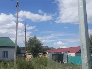 Konchi sihatgohi
