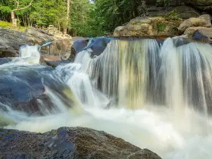 Pollard Mill Falls