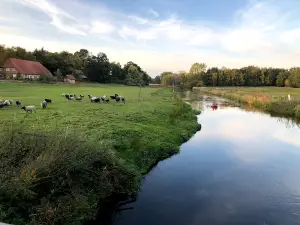 Klein Bünstorfer Heide
