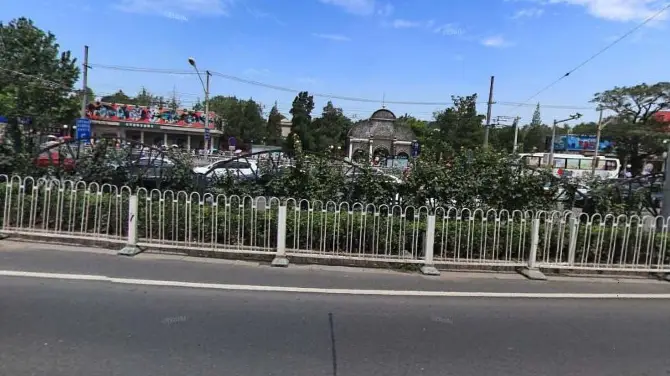 北京動物園熊山