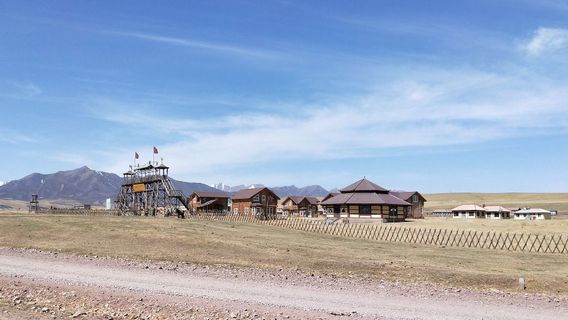 piao qi jiang jun da ying xiao mu wu