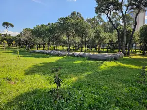 Bois des Pins