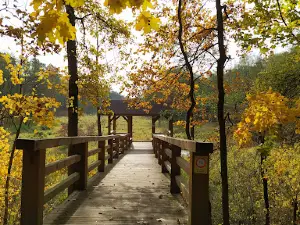 Parco paesaggistico di Kozienice