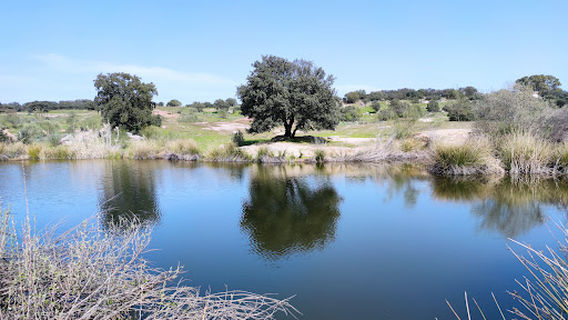Dehesa De Burguillos, Bailén