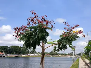 Madaripur Zero Point