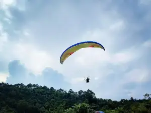 Bukit joko kayu kambing