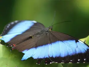 Maripoxa Parque Ecobiologico de Oxapampa