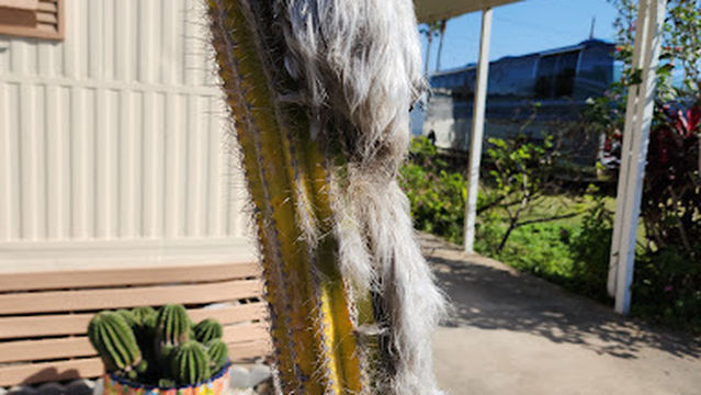 Trails End RV Resort