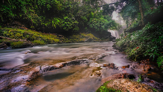 Air Terjun Temam