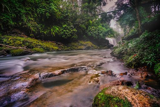 Air Terjun Temam