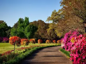 O.P Jindal Park