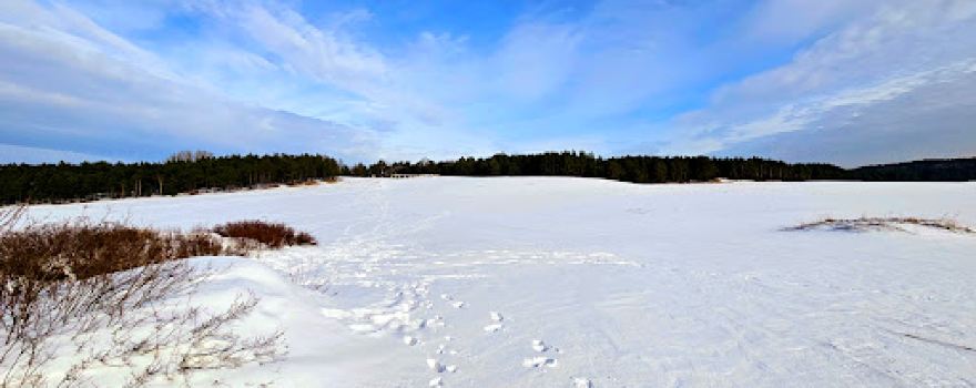 Desert viewing platform | Dąbrówka