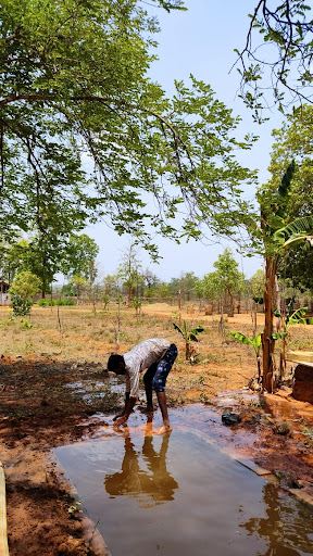 Bagdara Farms