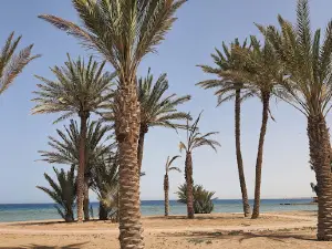 بحيرة النخيل Palm Lake