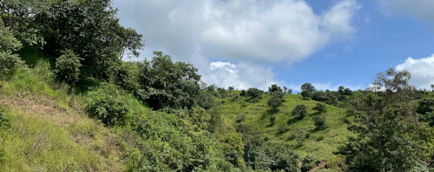 Bhavki waterfall
