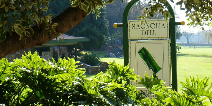 Magnolia Dell
