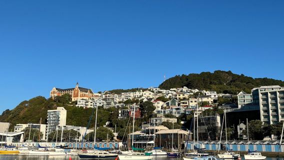 Oriental Bay