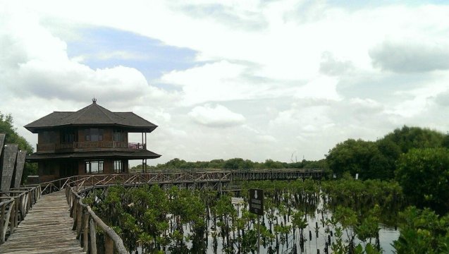 Taman Wisata Alam Mangrove Angke Kapuk