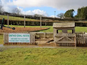 The Dinosaur Park Tenby