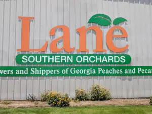 Lane Southern Orchards