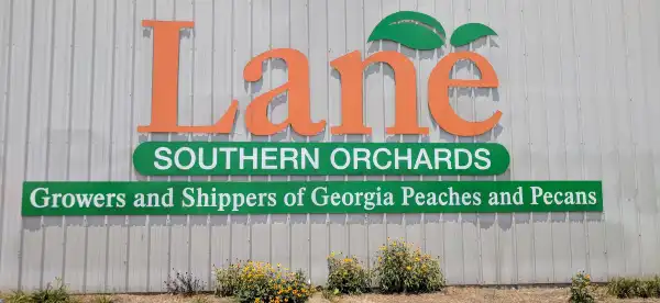 Hotels in Peach County