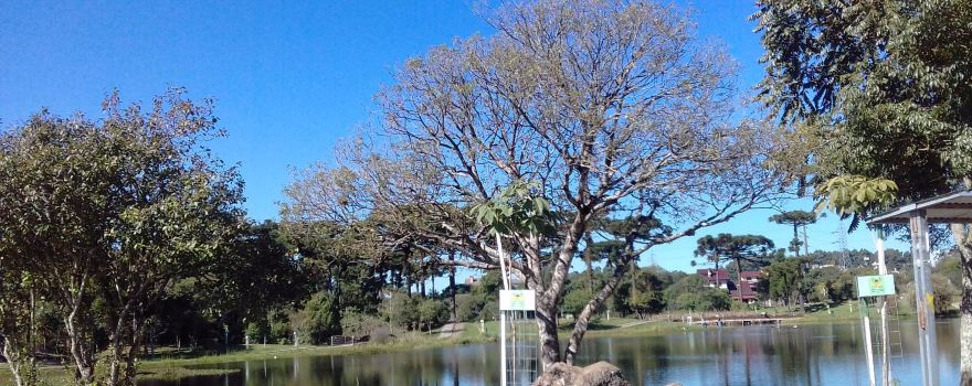 Parque da Lagoa do Rizzo