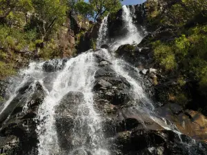 Bee Falls
