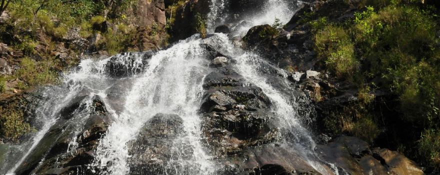 Bee Falls