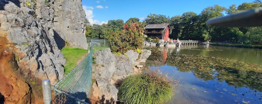 Biotop Wildpark Anholter Schweiz