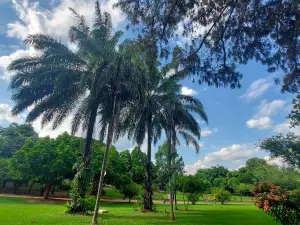 Parque Zeca Malavazzi
