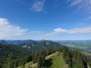 Альпшпицбан Нессельванг