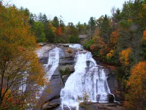 DuPont State Recreational Forest