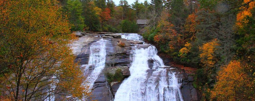 DuPont State Recreational Forest