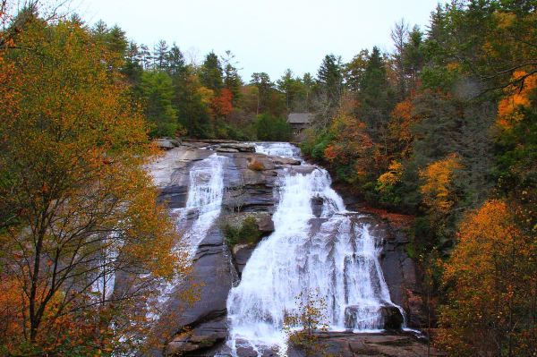 DuPont State Recreational Forest
