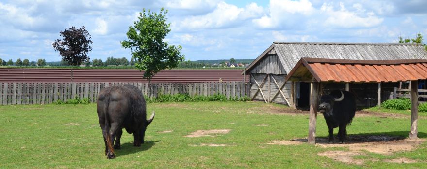 Animal park, Entertainment and Education