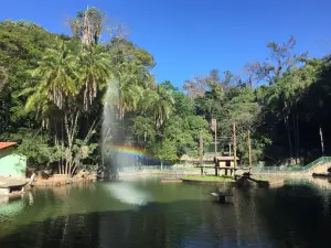 Jequitibá Woods Park