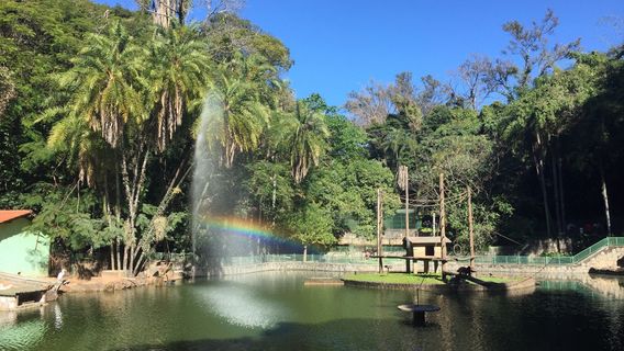 Jequitibá Woods Park