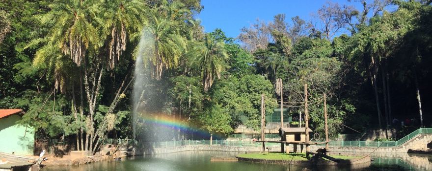Jequitibá Woods Park
