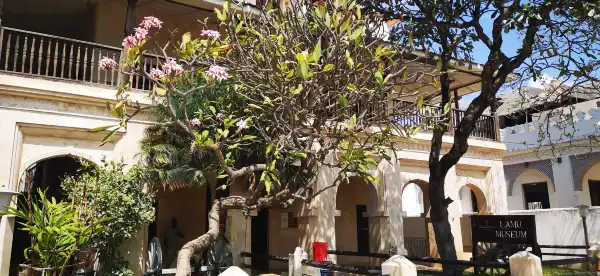 Hotels in Lamu
